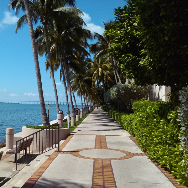 Running in the heat: Tips for your summer run in hot weather! You step outside for a run. So hot. So humid. Should you go out running in the humidity and heat and humidity? If you’re heading out the door, here are tips for your run in the sun!