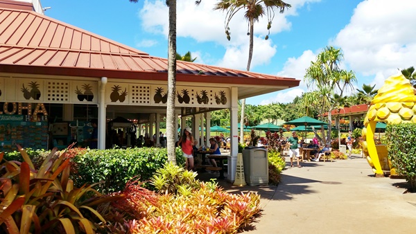 Hawaiian culture: Dole plantation to represent the symbol of pineapple in Hawaii