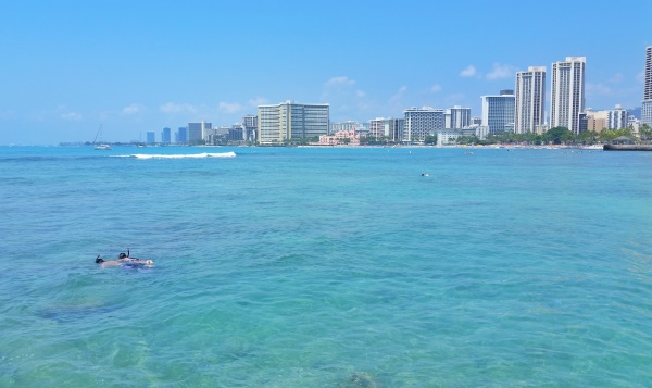 How much is snorkeling in Hawaii? It's free at Queen's Beach in Waikiki, Oahu!