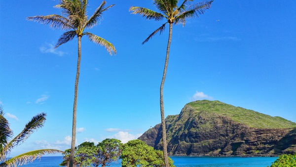 Beaches near Makapuu Lighthouse Trail, Oahu, Hawaii