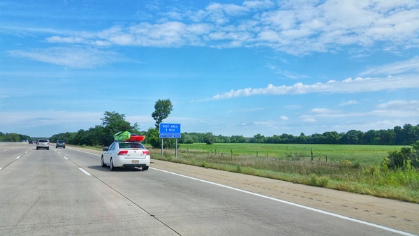 Essential oils for car sickness: How to prevent nausea on a road trip