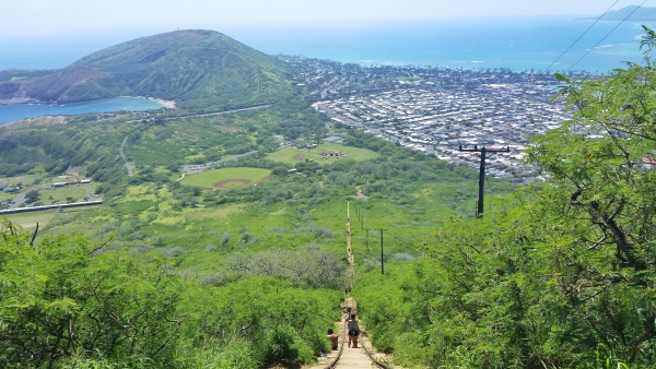 How to get to Sea Life Park by bus: Near Koko Head Hike, East Oahu, Hawaii