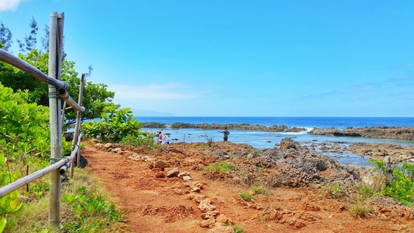 How to get to Shark's Cove by bus, North Shore, Oahu: Directions from bus stop, Hawaii