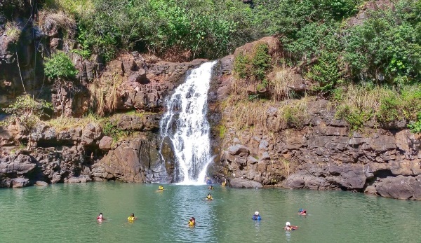 How to get to Waimea Valley by bus, North Shore, Oahu: Waimea Falls, Hawaii