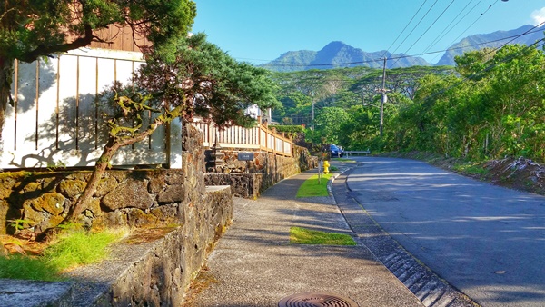 Manoa Falls parking: Park on residential streets at your own risk! Waterfall hikes, Oahu, Hawaii