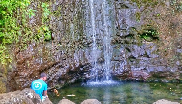 Manoa Falls vs Waimea Falls: Manoa Falls swimming - Waterfalls in Oahu, Hawaii
