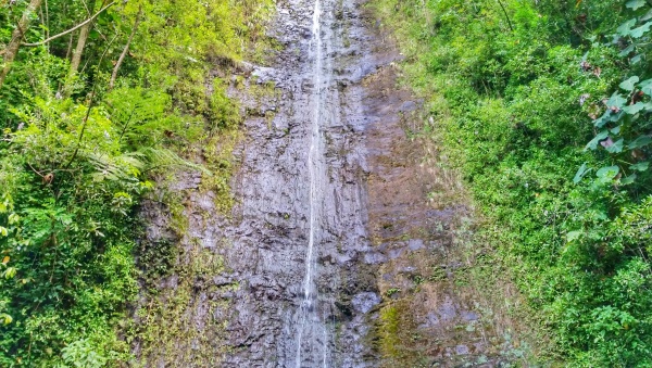Manoa Falls vs Waimea Falls: Manoa Falls near Honolulu and Waikiki - Waterfalls in Oahu, Hawaii