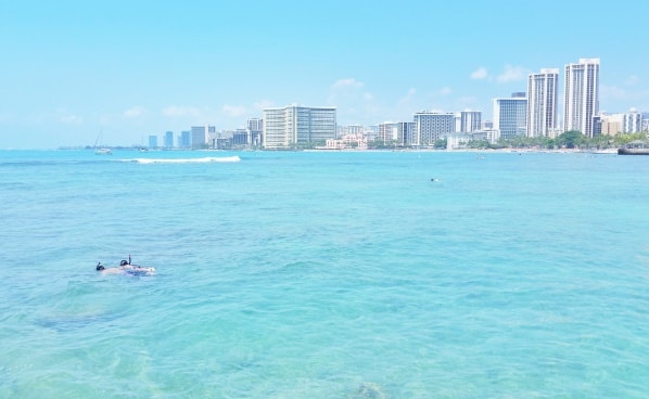 Waikiki Activities Travel Guide: Best snorkeling spot in Waikiki, Oahu, Hawaii. Best things to do in Waikiki.