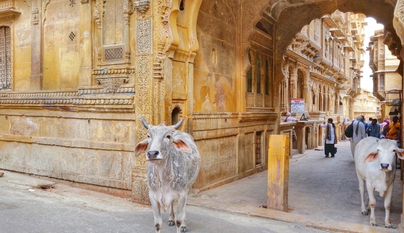 T-Mobile coverage in India: International roaming data